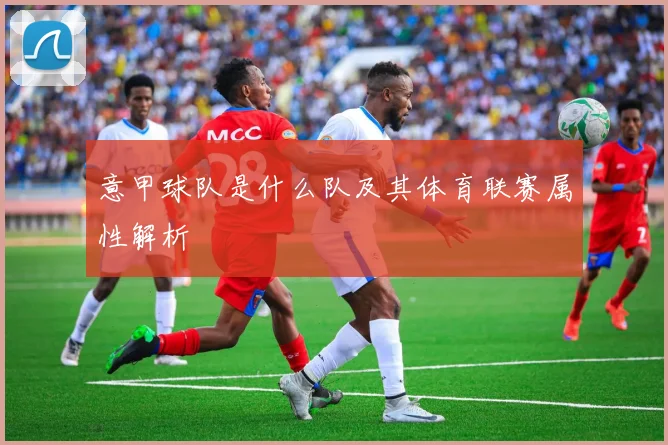 意甲球队是什么队及其体育联赛属性解析