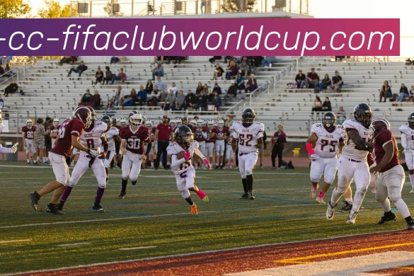 世界杯赛程平台生态图